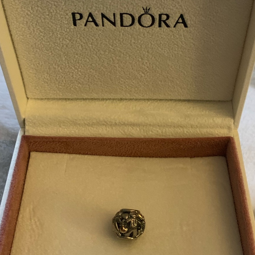 Pandora Charm- Children